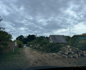 Avarinių medžių pjovimas/ žolės pjovimas. / Arboristas Egidijus / Darbų pavyzdys ID 3135223
