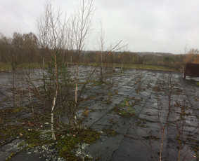 Stogu dengimas bitumine prilydoma danga,karkasas,fasadai. / Sergejus / Darbų pavyzdys ID 589395