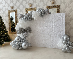 Foto siena / Jekaterina K / Darbų pavyzdys ID 3135813