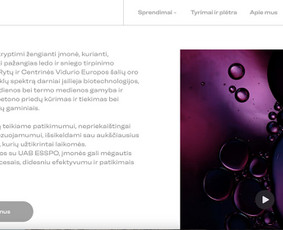 Tekstai Marketingui (Lt ir En) - Tekstų interneto svetainėms kūrimas - 2 Tekstų interneto svetainėms kūrimas - Tekstai Marketingui (Lt ir En) - 2