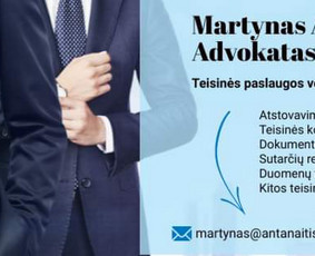 Profesionalios ir sąžiningos advokato teisinės paslaugos / Martynas Antanaitis / Darbų pavyzdys ID 3138335