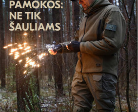 Kruopščiai. Sklandžiai. Laiku. / Kalbos redaktorė Sandra / Darbų pavyzdys ID 3139369