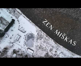 Video reklama - Renginių filmavimas - Drono paslaugos / Rokas Šarauskas / Darbų pavyzdys ID 3139533