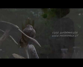 Video reklama - Renginių filmavimas - Drono paslaugos / Rokas Šarauskas / Darbų pavyzdys ID 3140223