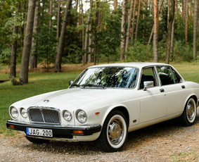 Klasikinių Jaguar Xj ir Cadillac Deville nuoma / Vilmantas Bulaka / Darbų pavyzdys ID 3140343