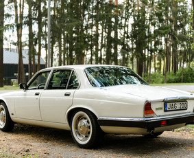 Klasikinių Jaguar Xj ir Cadillac Deville nuoma / Vilmantas Bulaka / Darbų pavyzdys ID 3140345