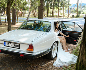 Klasikinių Jaguar Xj ir Cadillac Deville nuoma / Vilmantas Bulaka / Darbų pavyzdys ID 3140365