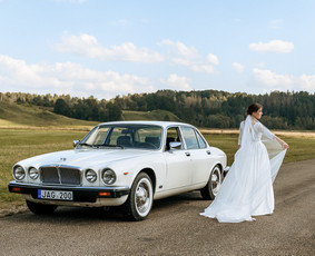 Klasikinių Jaguar Xj ir Cadillac Deville nuoma / Vilmantas Bulaka / Darbų pavyzdys ID 3140379