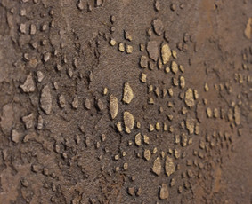 Mikrocementas, dekoratyvinis tinkas, glaistymas dažymas / Vau Sienos / Darbų pavyzdys ID 3141317