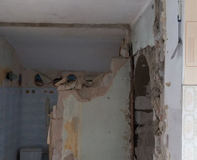 Griovimo darbai šiukšliu išvežimas / Audrius / Darbų pavyzdys ID 3143101