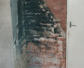 Griovimo darbai šiukšliu išvežimas / Audrius / Darbų pavyzdys ID 3143107