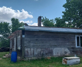 Griovimo darbai šiukšliu išvežimas / Audrius / Darbų pavyzdys ID 3143139