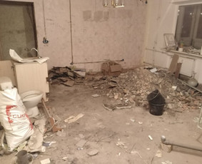 Griovimo darbai šiukšliu išvežimas / Audrius / Darbų pavyzdys ID 3143159
