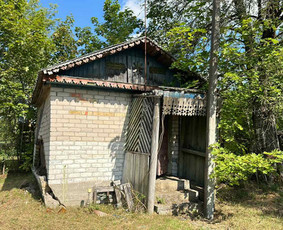 Griovimo darbai šiukšliu išvežimas / Audrius / Darbų pavyzdys ID 3143163
