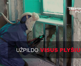 Šiltinimas Putomis, Termo puta, Pučiama Vata Lietuvoje / UAB Termas / Darbų pavyzdys ID 590799