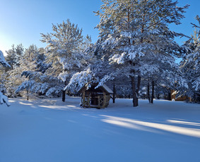 Voverių slėnis / Kęstutis Po / Darbų pavyzdys ID 3143619