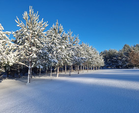 Voverių slėnis / Kęstutis Po / Darbų pavyzdys ID 3143625