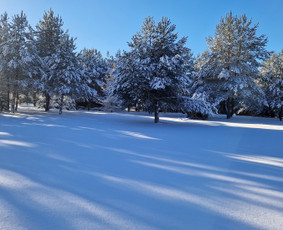 Voverių slėnis / Kęstutis Po / Darbų pavyzdys ID 3143627