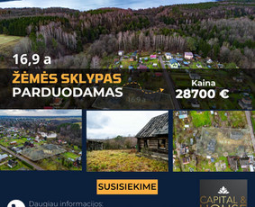 NT Brokerė Gita / Capital & House / Darbų pavyzdys ID 3144647