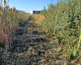 Sklypų valymas, pagrindų, vejos įrengimas,trinkelių klojimas / UAB "Pakrilė" / Darbų pavyzdys ID 3145337