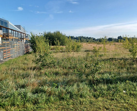Sklypų valymas, pagrindų, vejos įrengimas,trinkelių klojimas / UAB "Pakrilė" / Darbų pavyzdys ID 3145339