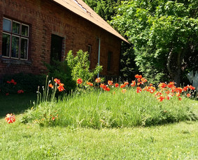 Žolininkė - Homeopatė - Gydytoja - Žolininkai - 2 Žolininkai - Žolininkė - Homeopatė - Gydytoja - 2