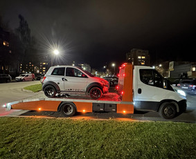 Traliukas,šiauliai.hidraulinė platforma. 24/7 / Linas / Darbų pavyzdys ID 3153387