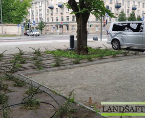 Automatinės laistymo sistemos Vilniuje / Alen Art / Darbų pavyzdys ID 592789