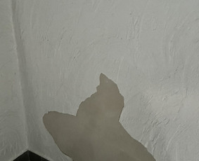 Pilna būto, namo, patalpų rekonstrukcija ir statyba. / Arturas / Darbų pavyzdys ID 3156651