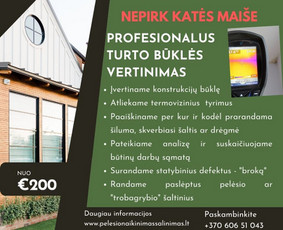 Pelėsio ir medžio grybo "Trobagrybio" naikinimas, šalinimas / PelėsioNaikinimasSalinimas.lt / Darbų pavyzdys ID 3157639