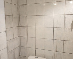 Pelėsio ir medžio grybo "Trobagrybio" naikinimas, šalinimas / PelėsioNaikinimasSalinimas.lt / Darbų pavyzdys ID 3157655
