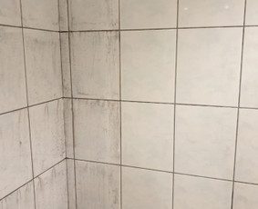 Pelėsio ir medžio grybo "Trobagrybio" naikinimas, šalinimas / PelėsioNaikinimasSalinimas.lt / Darbų pavyzdys ID 3157657