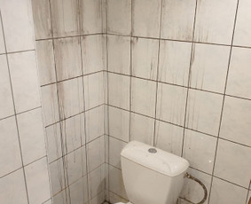 Pelėsio ir medžio grybo "Trobagrybio" naikinimas, šalinimas / PelėsioNaikinimasSalinimas.lt / Darbų pavyzdys ID 3157661
