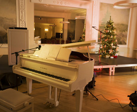 Muzikos mokytojai / Vocal Bloom studio / Darbų pavyzdys ID 3160479