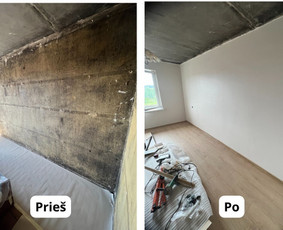 Vidaus ir išorės apdaila / MB Krisvyta / Darbų pavyzdys ID 3162373