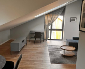 Gipso kartono montavimas / Gipso Vizija / Darbų pavyzdys ID 3163341