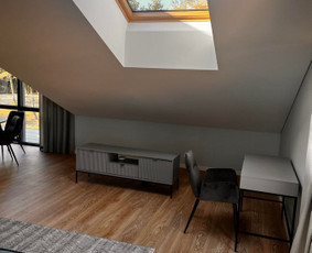 Gipso kartono montavimas - Lubų dažymas - 1 Lubų dažymas - Gipso kartono montavimas - 1