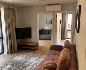 Gipso kartono montavimas / Gipso Vizija / Darbų pavyzdys ID 3163345