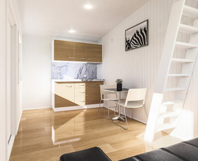 3d Vizualizacijos / 3d planai / Interjero Vizualizacija / Emilis Adomaitis / Darbų pavyzdys ID 3164581