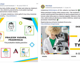 #1socialinių tinklų marketingas Facebook, Instagram, reklama / Austė Lapė / Darbų pavyzdys ID 596305
