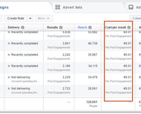 #1socialinių tinklų marketingas Facebook, Instagram, reklama / Austė Lapė / Darbų pavyzdys ID 596341