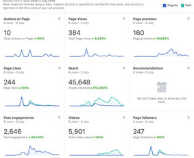 #1socialinių tinklų marketingas Facebook, Instagram, reklama / Austė Lapė / Darbų pavyzdys ID 596351