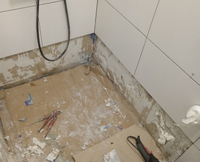 Tapetų klijavimas - Apdailos darbai - 1