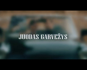 Profesionalios video paslaugos / Baltic Visuals / Darbų pavyzdys ID 3169813