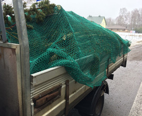 Pavojingų medžių pjovimas, aplinkos tvarkymas - Šakų išvežimas - 2 Šakų išvežimas - Pavojingų medžių pjovimas, aplinkos tvarkymas - 2