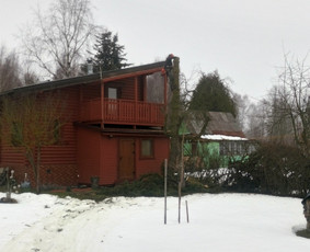 Eglės kirtimas šalia gyvenamojo namo ir malkinės. Kliento pageidavimu kamienas supjautas kaladėmis, šakos išvežtos.