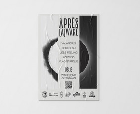 Spaudos maketų gamyba - Grafikos dizaino paslaugos - 4