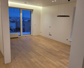 Kapitalinis buto remontas - Vidaus ir lauko apdailos darbai - 2