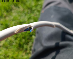 Smulkūs elektros darbai - Elektros ir silpnų srovių montavimo darbai - 1