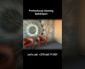 Profesionalus Valymas Jūsų Patogumui S&s / Spick&Span / Darbų pavyzdys ID 3173897